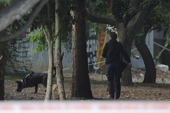 Este pico de violencia se