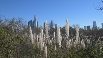 Para Magnetti es fundamental que