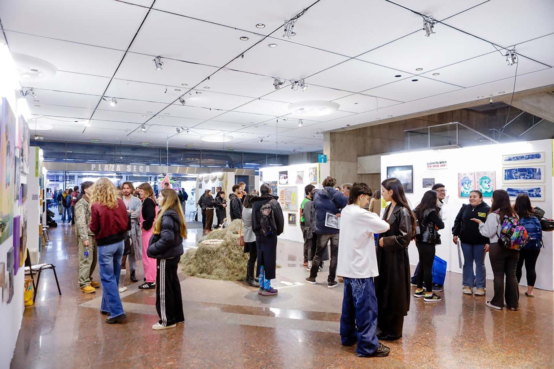 La edición reunió a 39 proyectos y galerías de La Plata, la Ciudad de Buenos Aires, Martínez, General Villegas, Chaco, Entre Ríos, San Juan y otras localidades bonaerenses