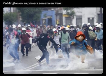 Memes sobre Paddington en Perú.