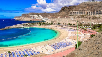 Procedente el despido de un