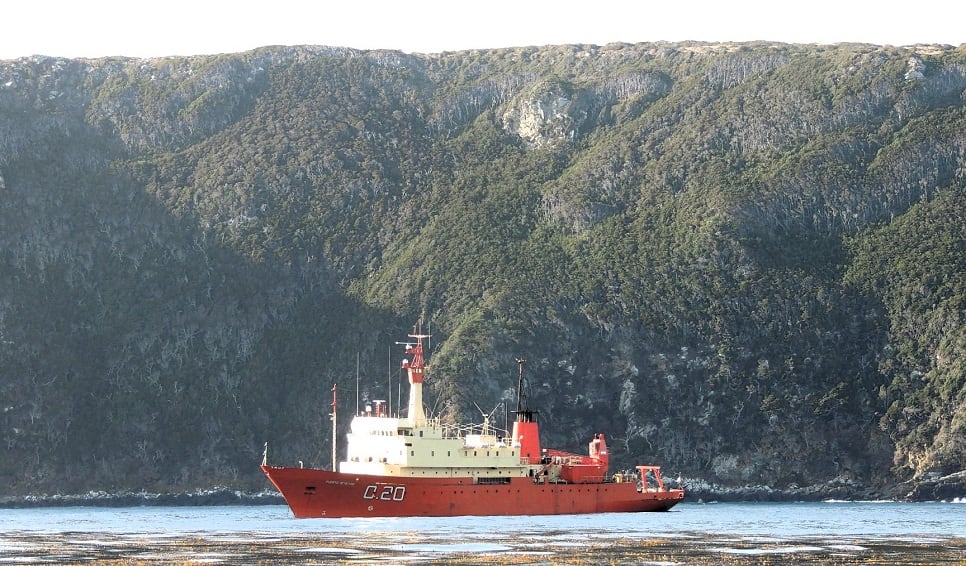 El descubrimiento se logró tras más de una década de campañas oceanográficas en el Atlántico Sur (Conicet)