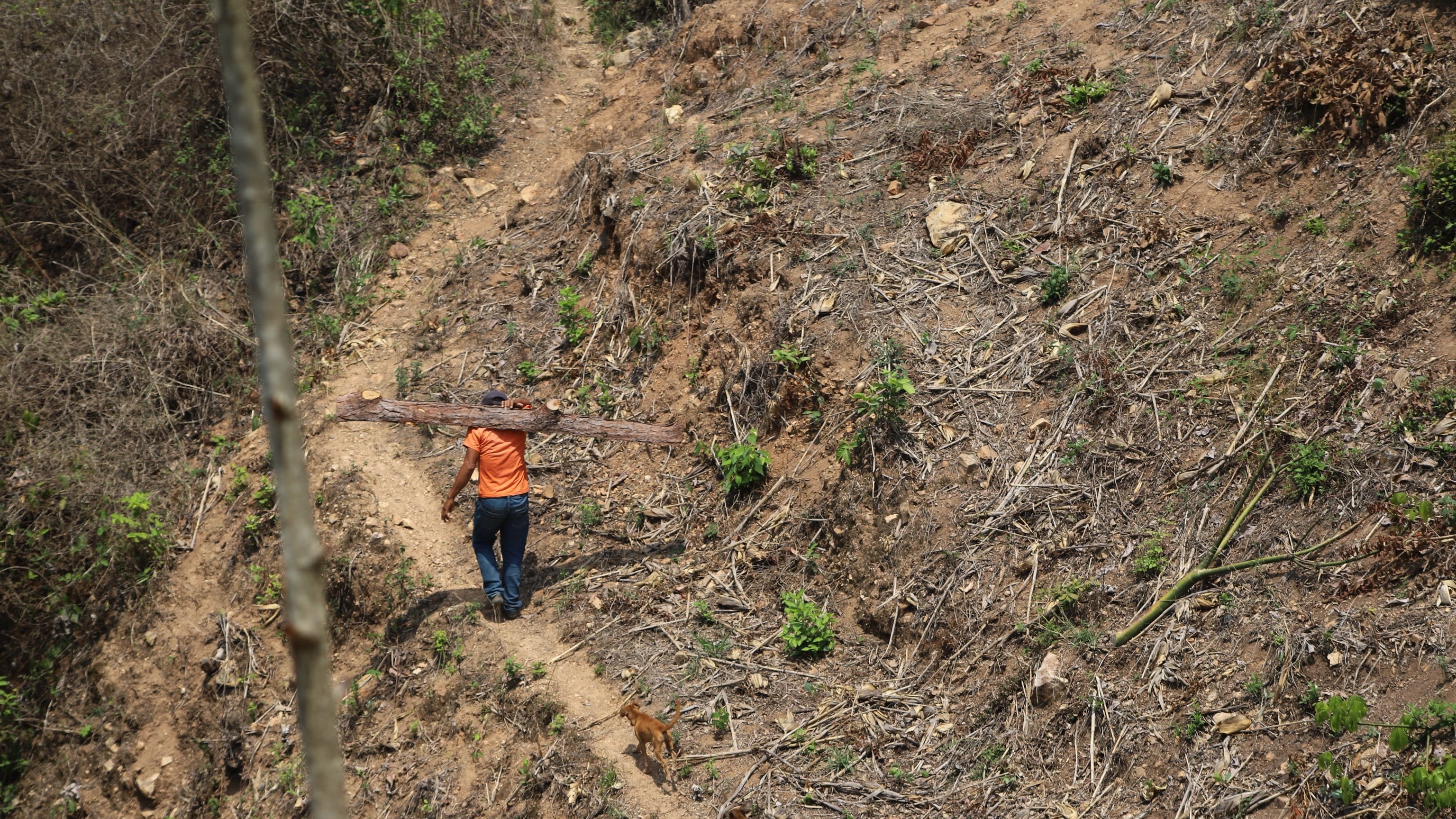 Frente a la amenaza de sequía, activan asistencia económica y entrega de agua para comunidades vulnerables (Foto archivo, cortesía FAO)