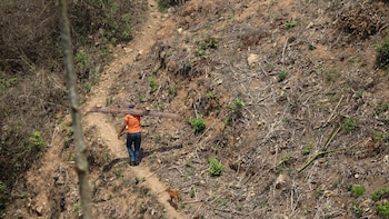 Respuesta anticipada ante la sequía: activan fondos de emergencia frente a la sequía para proteger a 22.000 personas en Centroamérica