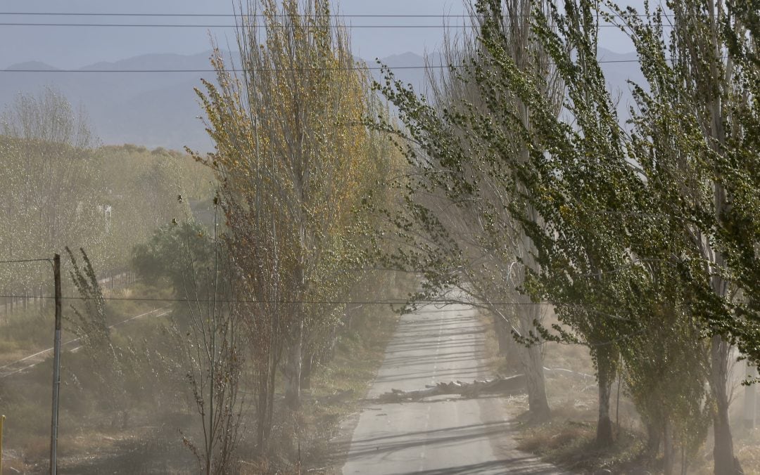 El pronóstico en Mendoza prevé que el viento Zonda siga con velocidades de 30 a 50 km/h y ráfagas que podrían superar los 80 km/h