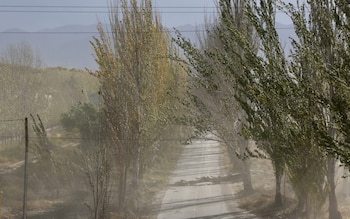 El pronóstico en Mendoza prevé que el viento Zonda siga con velocidades de 30 a 50 km/h y ráfagas que podrían superar los 80 km/h