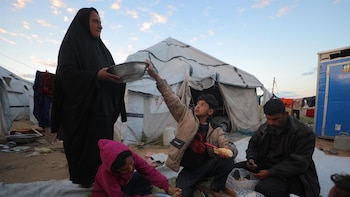 Decenas de ONG internacionales recurren