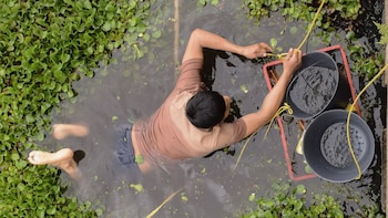 Critican al candidato a la