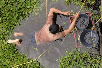 La iniciativa fue criticada por