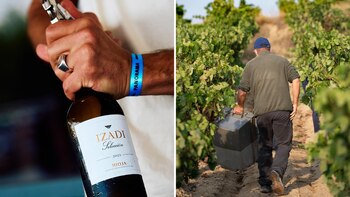 El vino de Bodegas Izadi