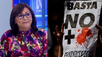 María Aguayo defiende propuesta que