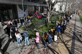 Miles de personas hicieron fila