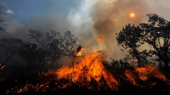Voraz incendio en Neiva: las