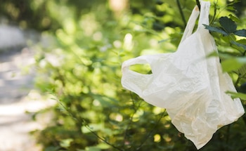 Día Internacional Libre de Bolsas de Plástico - Bolsas de Plástico – medioambiente – Perú – noticias – 3 julio