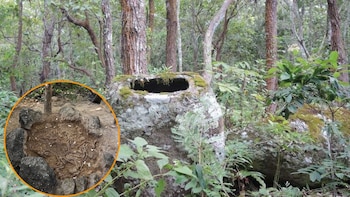 Una investigación en la Llanura de las Jarras de Laos revela un ritual funerario inédito: una vasija contiene los restos de 37 humanos que podrían ser del mismo linaje