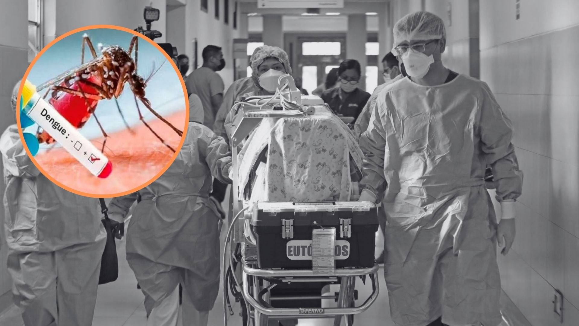 Dengue en Lambayeque: madre e hijo mueren por la enfermedad y elevan a 12 los fallecidos en la región