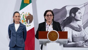 Laura Velázquez indicó que el