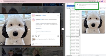 La imagen queda en descargas.