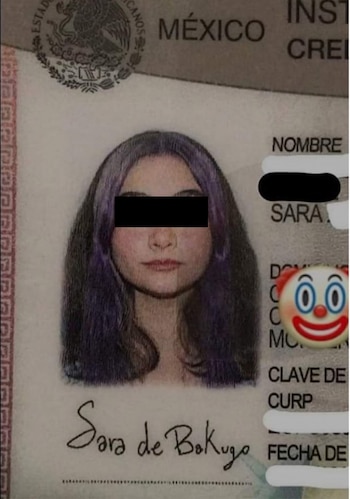 Usuarios en rede sociales viralizaron