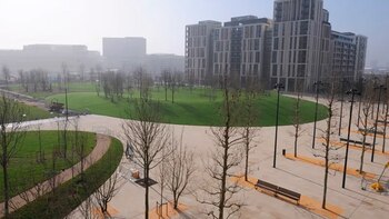 Van más allá del tradicional