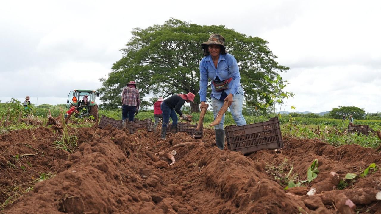 La Federación Nacional de Agricultores y Ganaderos de Honduras pidió que el Gobierno declare la emergencia nacional por la sequía.