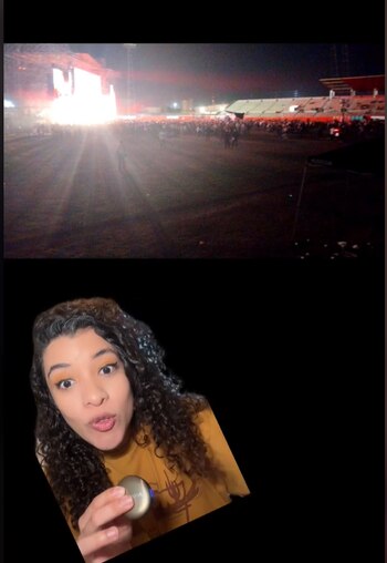 (TikTok: @dayanechrissel)