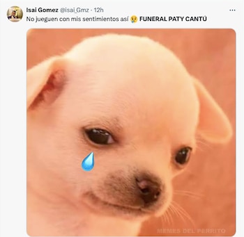 Los memes ayudaron a posicionar