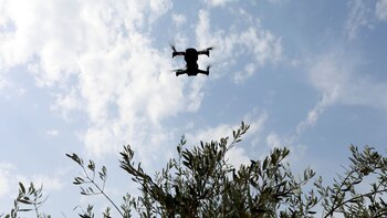 A drone flies over an olive tree in Nabatieh area, Lebanon October 25, 2018. REUTERS/ Jamal Saidi
