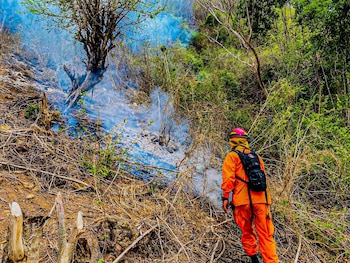 El Salvador registró 166 incendios forestales entre enero y abril de 2026, un aumento del 108 % respecto al mismo periodo de 2025. (Cortesía: Bomberos de El Salvador)