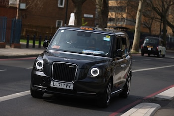 La evolución del hipocampo en