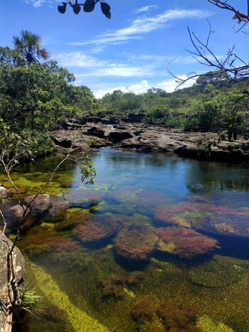 La conservación de este ecosistema