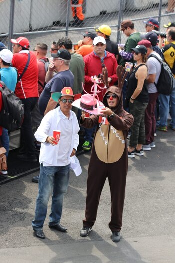 Aficionados llevan consigo a la