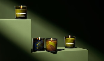 La nueva línea Bothânica fusiona