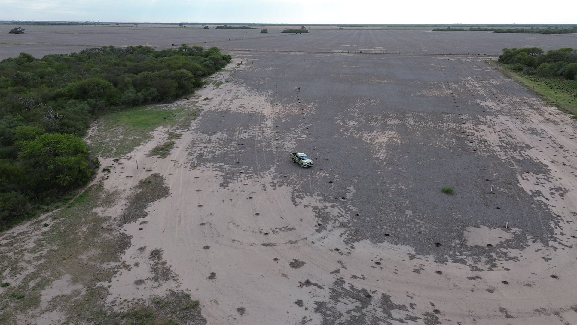 La fragmentación del monte en el Gran Chaco argentino afecta la circulación de especies y funciones ambientales como la regulación del agua y la biodiversidad (The Nature Conservancy)