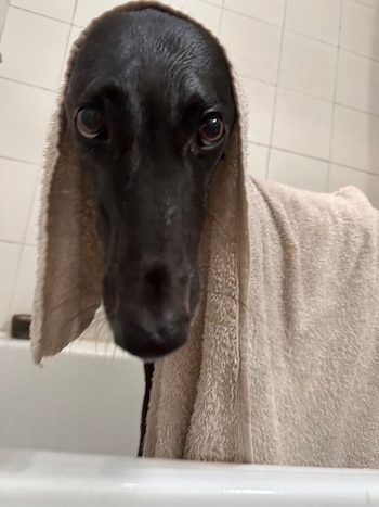 "Fue el día más triste