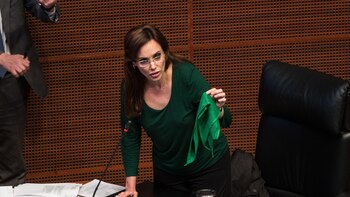 Lilly Téllez aseguró no ser