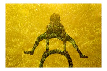 Actualmente, el fotógrafo busca reencontrarse