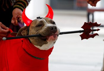 REUTERS/Rodrigo Garrido
