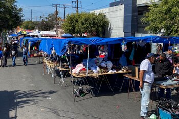 Ignacia Cruz vende los fines