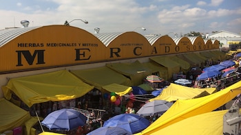 La sentencia judicial establece un