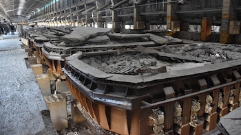 La mayoría de las celdas