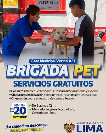 Los asistentes podrán acceder a la desparasitación interna y externa como parte de las medidas preventivas para proteger el bienestar de sus perros y gatos - Créditos: Municipalidad de Lima.