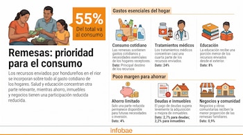 Infografía con ilustraciones de una familia contando billetes, alimentos, medicinas y libros, acompañada de porcentajes y texto explicativo.
