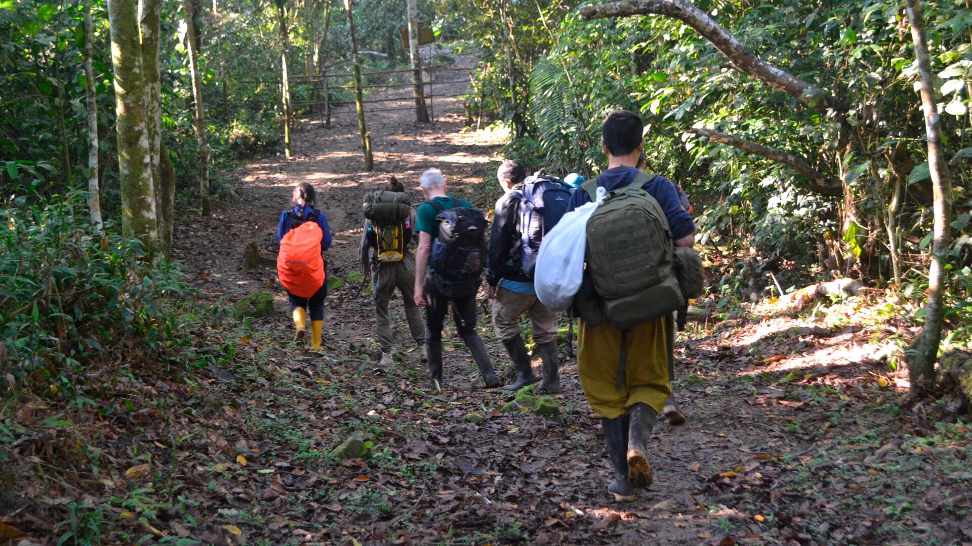 El clima en la ciudad de las palmeras (wikimedia)