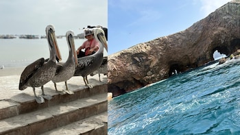La bahía de Paracas destaca por su biodiversidad marina y los recorridos en bote que permiten observar aves y lobos marinos en su hábitat natural.