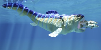 El fósil de Dunkleosteus terrelli