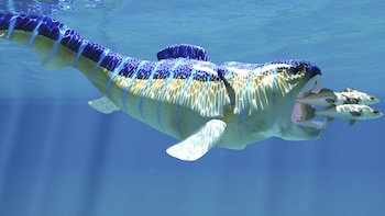 Revelaron la sorprendente técnica de