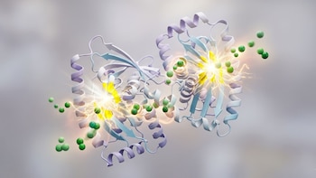 Estructura proteica compleja con hélices y láminas en tonos violeta, blanco y azul, sitios activos amarillos con destellos, líneas de energía y moléculas verdes en un fondo gris