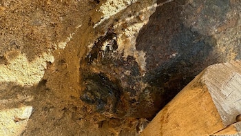 Bomba oxidada de la Segunda Guerra Mundial semienterrada en la tierra, con tonalidades oscuras y verdosas, y un tronco de madera a su lado