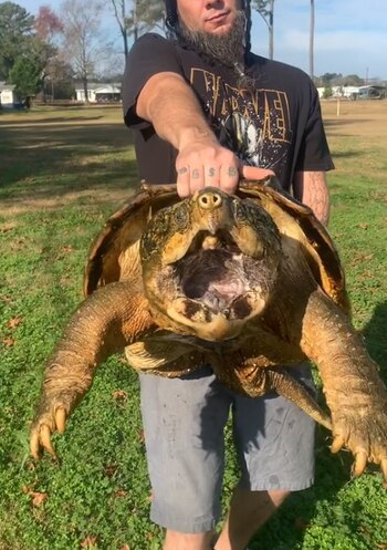 Galactus es una de las